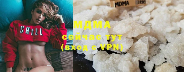 гидропоника Алзамай