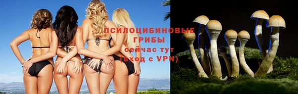 MDMA Premium VHQ Протвино