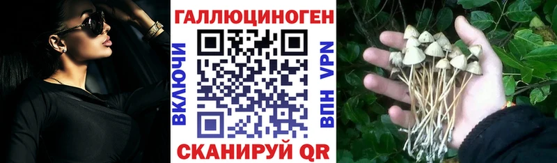 Псилоцибиновые грибы мицелий  Аша 