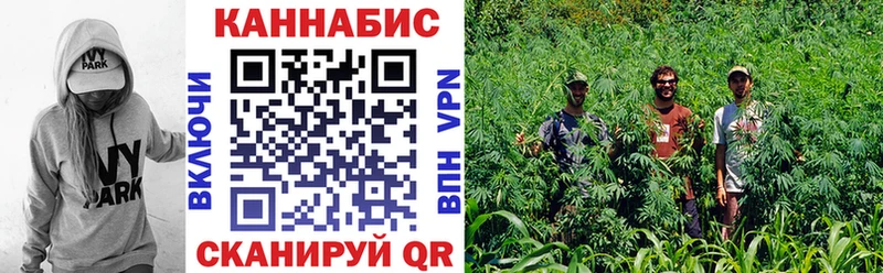 Бошки марихуана THC 21%  Аша 
